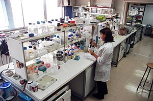 Laboratorio Quimica U de Chile