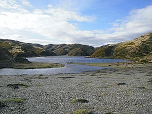 Lake Kohangapiripiri 11.JPG