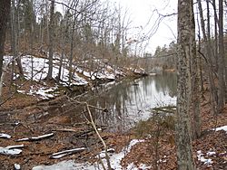 Lake Wylie Cove