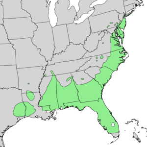 Magnolia virginiana range map 3.png