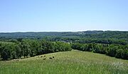 Mohican State Forest