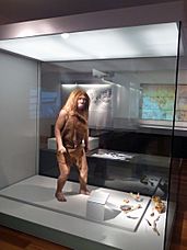 Museo Arqueológico de Asturias (6425222219)