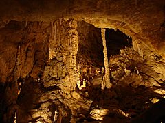 NaturalBridgeCaverns16