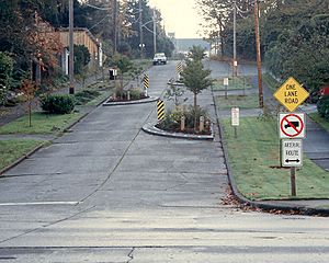 One-lane chicane 1