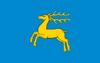 Flag of Kozienice