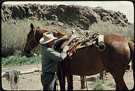 Preparing a pack horse