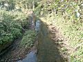 River Parrett north of Petherton Bridge