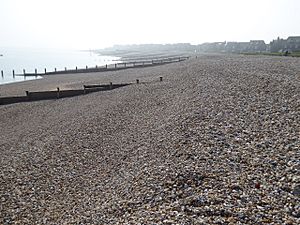 Selsey East Beach (3).jpg