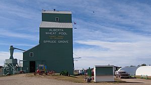 Spruce Grove Alberta Grain Elevator (10100112966).jpg