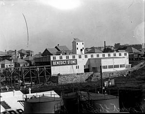 StateLibQld 1 107160 Benedict Stone Factory at Bowen Hills, Brisbane, ca. 1934