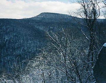 Sugarloaf knob.jpg