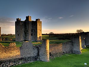 Trim Castle 6