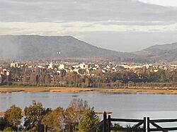 Valdivia Vista