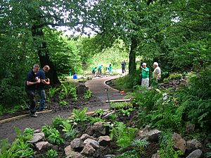 Vale View, Beechgrove filming