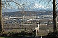 Valley floor view Auburn, Washington