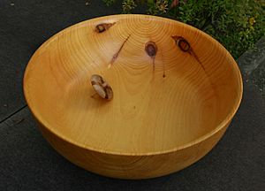 Woodturning-31-Bowl-gje