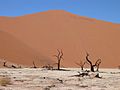 350m Düne Deadvlei Sossusvlei