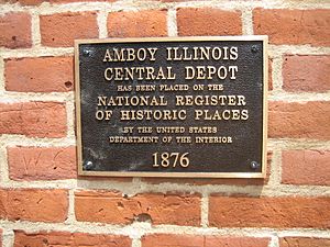 Amboy Il Depot12