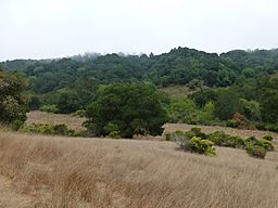 Anthony Chabot Regional Park.jpg