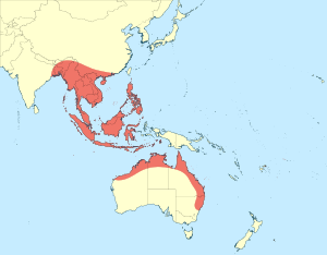 Argiocnemis rubescens distribution map.svg