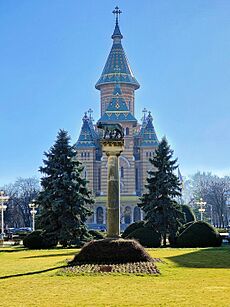 Catedrala Mitropolitana, Timisoara