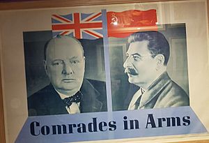 Comrades in Arms