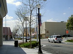 DowntownDowney