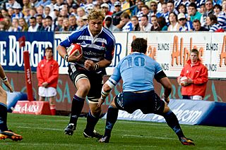 Duane Vermeulen 2010 WP