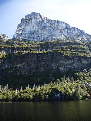 Frenchmans Cap, March 2016