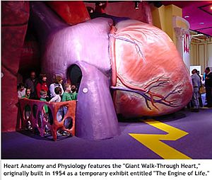 Giant Heart 2