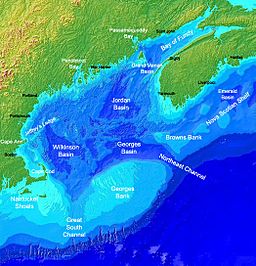 GulfofMaine2.jpg