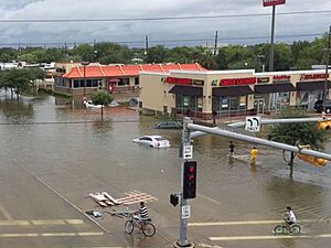 Harvey flooding (36527844190)