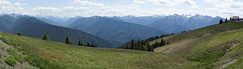 Hurricane ridge panorama 5