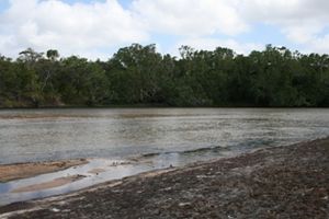 Jardine-river-cape-york-queensland-australia