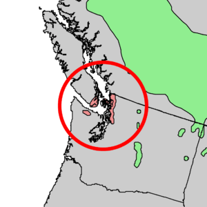 Juniperus maritima & scopulorum range map 4.png