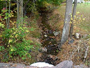 Kinney Run looking upstream