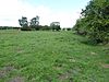 Lakenheath Poor's Fen