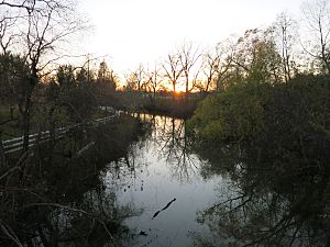 Lochridge TX Oyster Creek