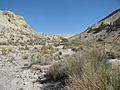 Looking up the canyon