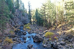 McCloud River below Middle Falls