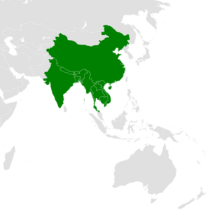 Microhierax caerulescens distribution map.svg