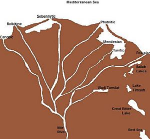 Nile Delta Surrounding