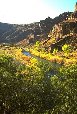 Owyhee River BLM.jpg