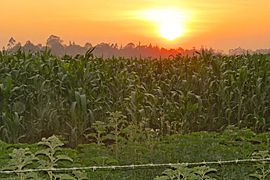 Paraíso Agricultor