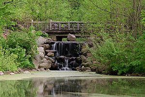 Prospect Park New York May 2015 009