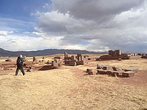 Puma Punku landscape