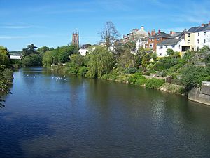 River Exe