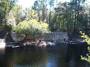 Suwannee Springs Bath house walls