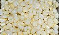 Sweet White Corn