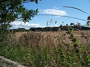 The Battle site of Hedgley Moor - geograph.org.uk - 1439715